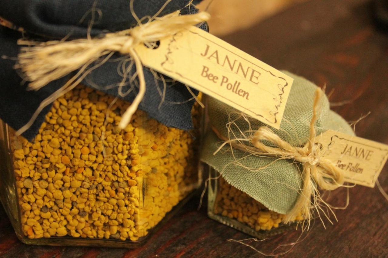 Janne Hotel Riga Luaran gambar